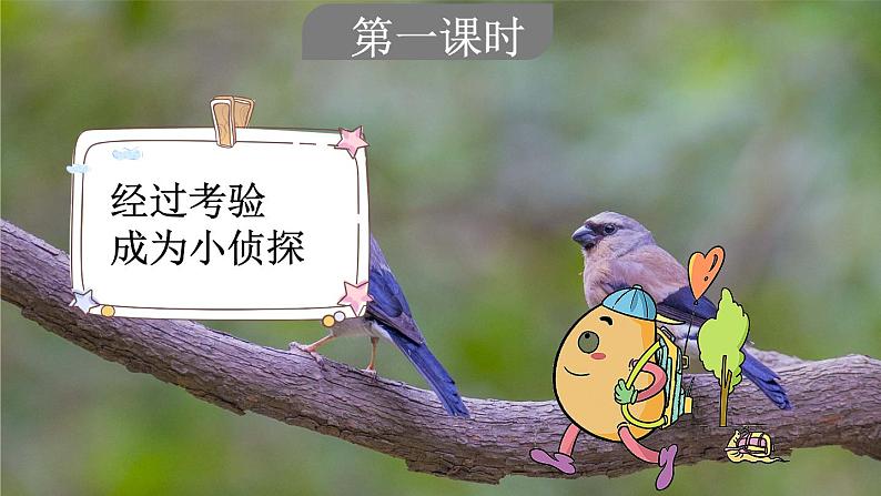 小学语文部编版三年级上册第25课《灰雀》课件(2023秋新课标版)第3页