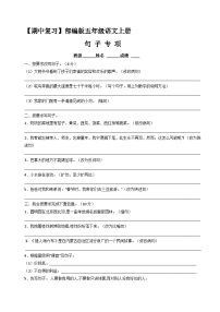 【期中复习】句子专项（有答案）人教部编五年级语文上册期中