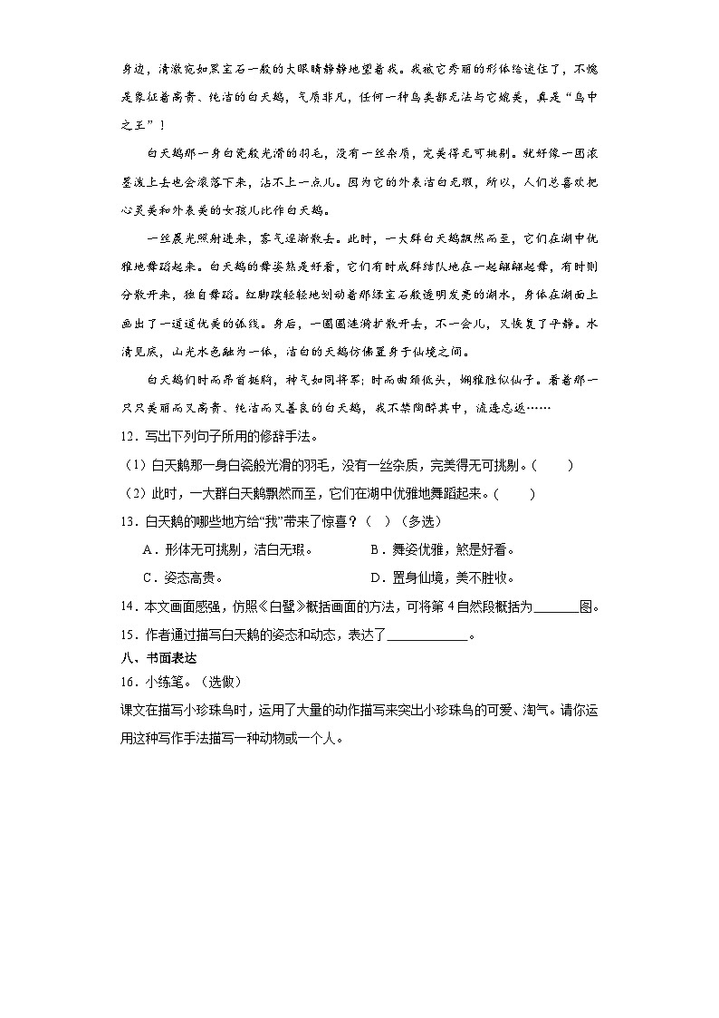 部编版语文五年级语文上第1课《白鹭》课时练1第3页