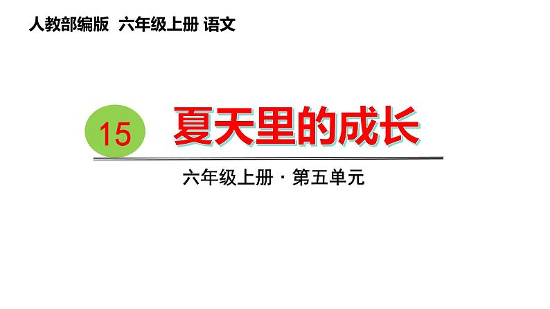 15 .夏天里的成长(课件) 六年级上册语文 2023-2024学年第一学期人教部编版01