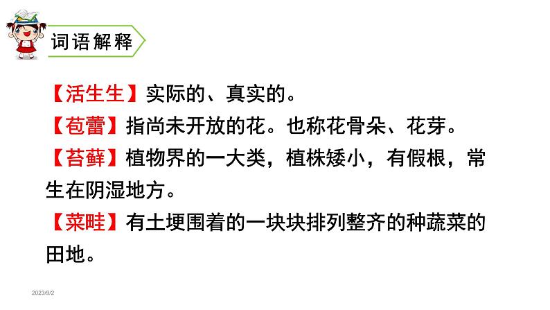 15 .夏天里的成长(课件) 六年级上册语文 2023-2024学年第一学期人教部编版07