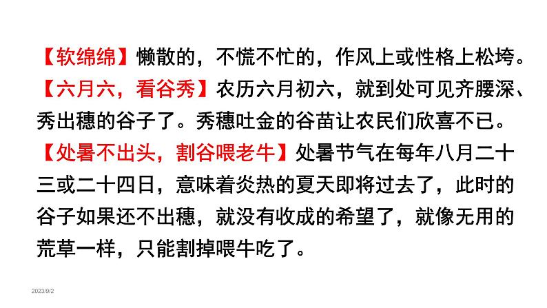 15 .夏天里的成长(课件) 六年级上册语文 2023-2024学年第一学期人教部编版08