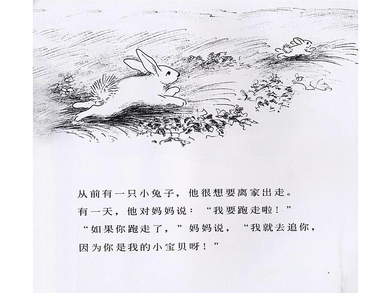 绘本故事ppt-逃家小兔第4页