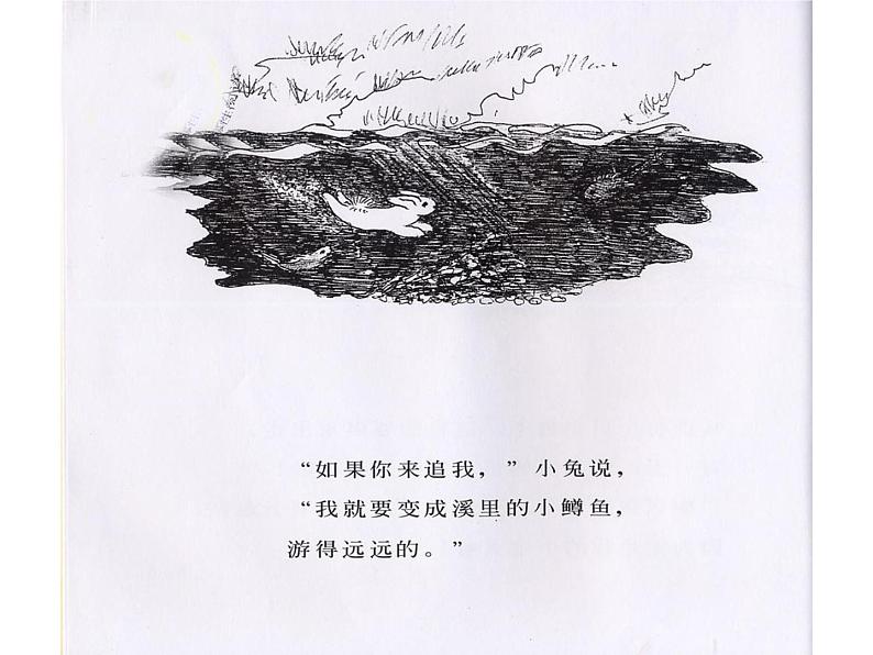 绘本故事ppt-逃家小兔第5页