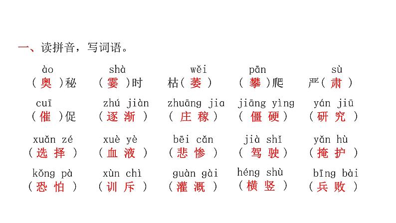 人教版小学语文四年级上册专项复习一课件02
