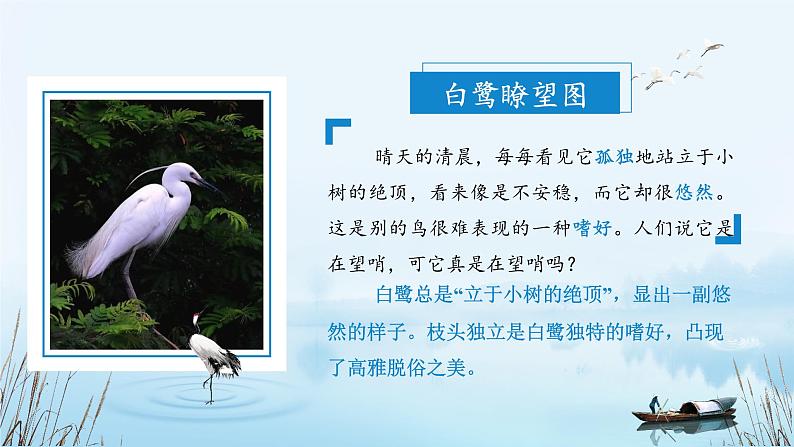 部编版语文五年级上册 第一课《白鹭》(第二课时) 同步课件+同步练习+同步教案+导学案07