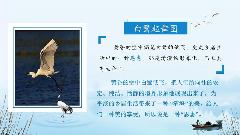 部编版语文五年级上册 第一课《白鹭》(第二课时) 同步课件+同步练习+同步教案+导学案08