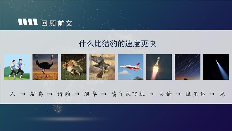 部编版语文五年级上册 第七课《什么比猎豹的速度更快》(第二课时) 同步课件+同步练习+同步教案+导学案02