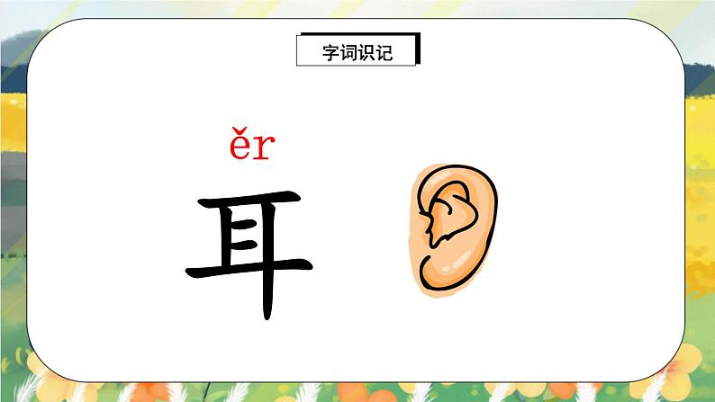 人教版语文一年级上册课件识字3 口耳目(课件)04