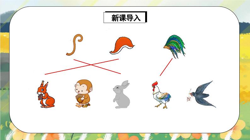 人教版语文一年级上册课件6 比尾巴(课件)04