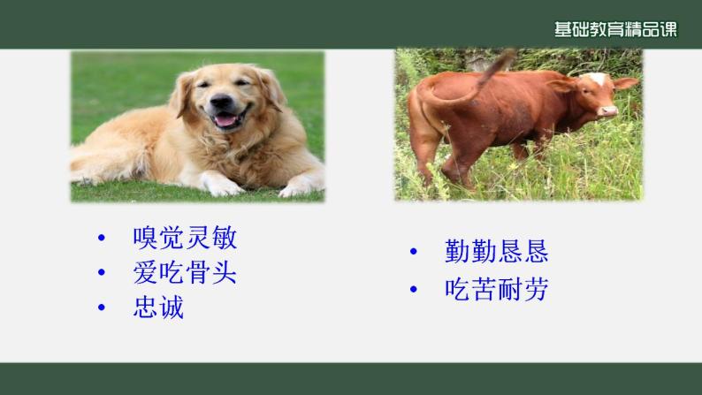 邵丽琴课堂教学课 课件教案练习02