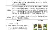 人教部编版二年级上册树之歌第一课时教案