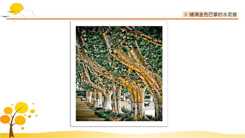 5铺满金色巴掌的水泥道-部编版语文三年级上册 课件教案02