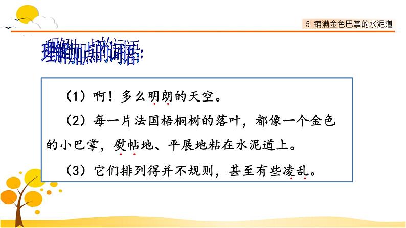 5铺满金色巴掌的水泥道-部编版语文三年级上册 课件教案06
