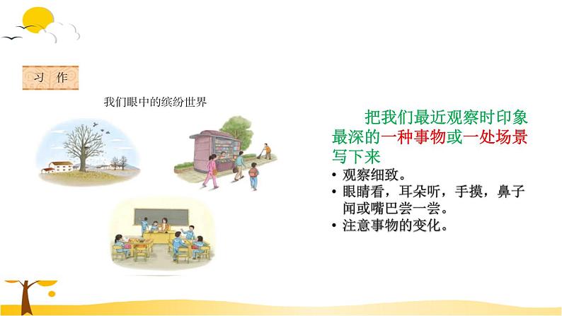 习作:我们眼中的缤纷世界-部编版语文三年级上册 课件教案02