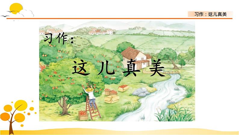 习作:这儿真美-部编版语文三年级上册 课件教案01