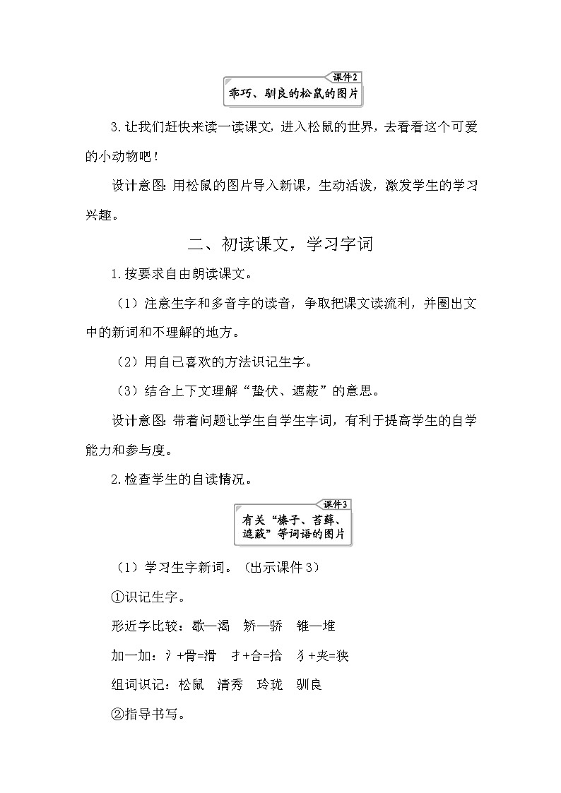 17 松鼠 教案-部编版语文五年级上册第2页