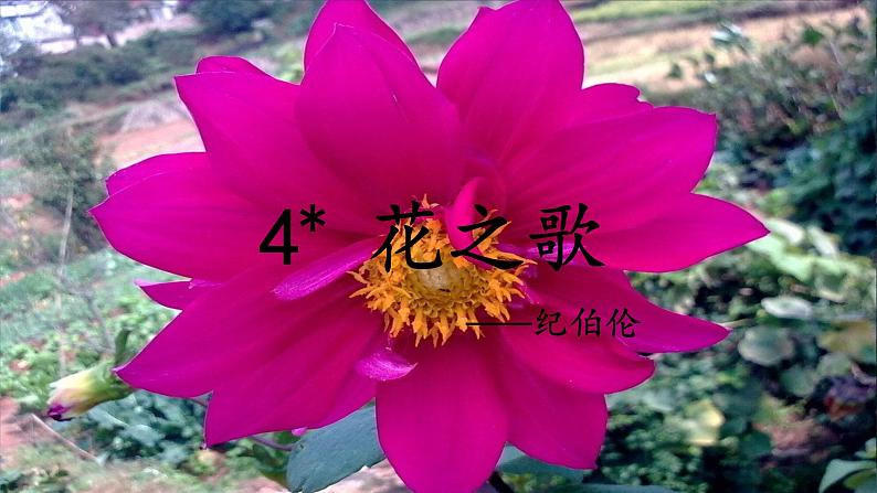 (教学课件)4.花之歌第1页