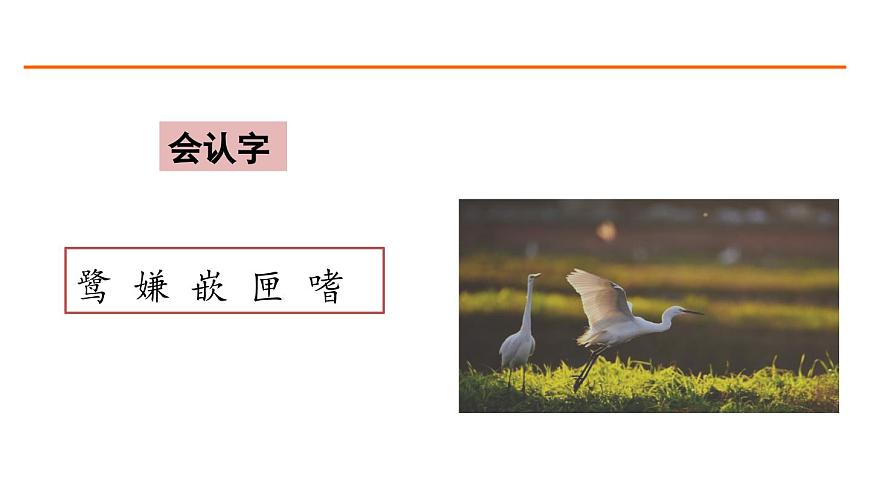 1 白鷺 課件-部編版語文五年級上冊第5頁