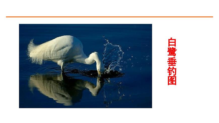 1 白鷺 課件-部編版語文五年級上冊第7頁