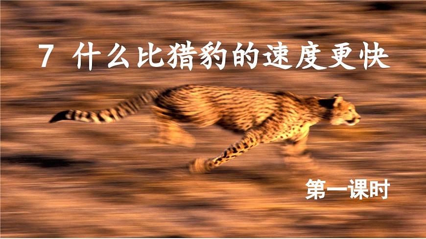 7 什么比獵豹的速度更快 課件-部編版語文五年級(jí)上冊(cè)第1頁