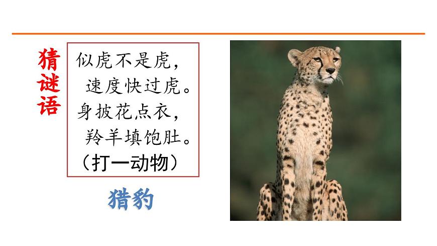 7 什么比獵豹的速度更快 課件-部編版語文五年級(jí)上冊(cè)第2頁
