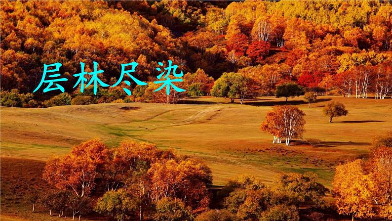 人教部编版小学三年级语文上册《4 古诗三首》课堂教学课件PPT公开课03