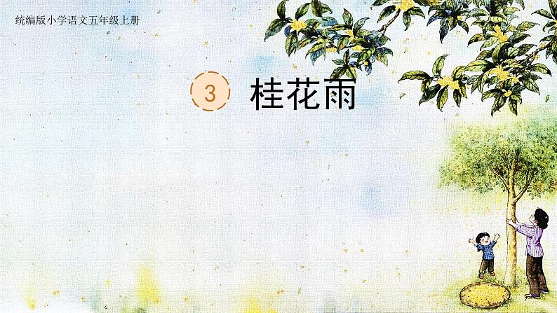部编版语文五年级上册公开课课件 3.桂花雨02