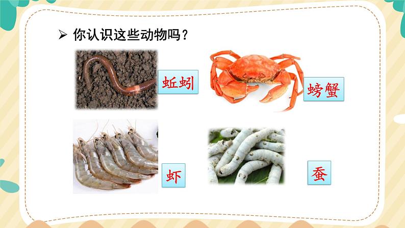 部编版语文二上 语文园地八(课件+课文朗读)07