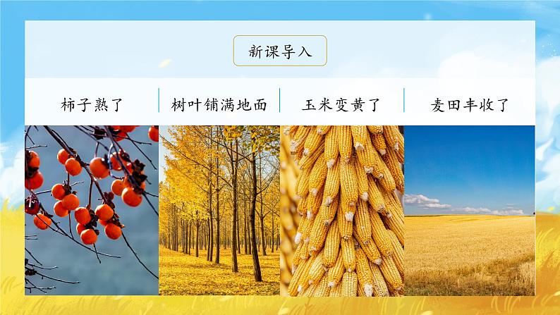 1《秋天》(课件)一年级上册语文部编版02