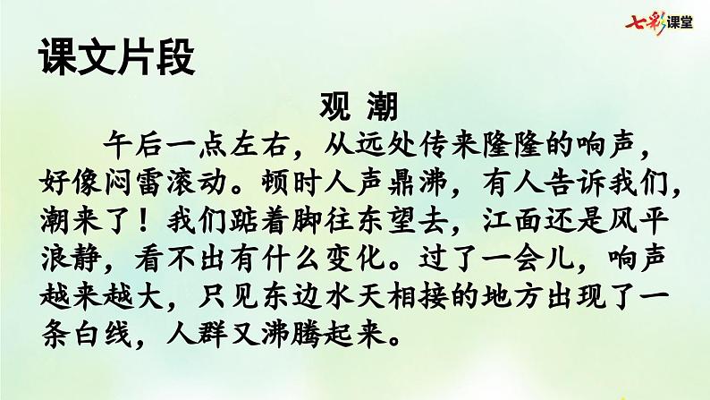 部编版小学语文四年级上册 专项6:积累背诵复习课件02