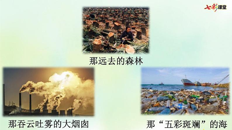 部编版小学语文四年级上册 专项8:口语交际复习课件第5页