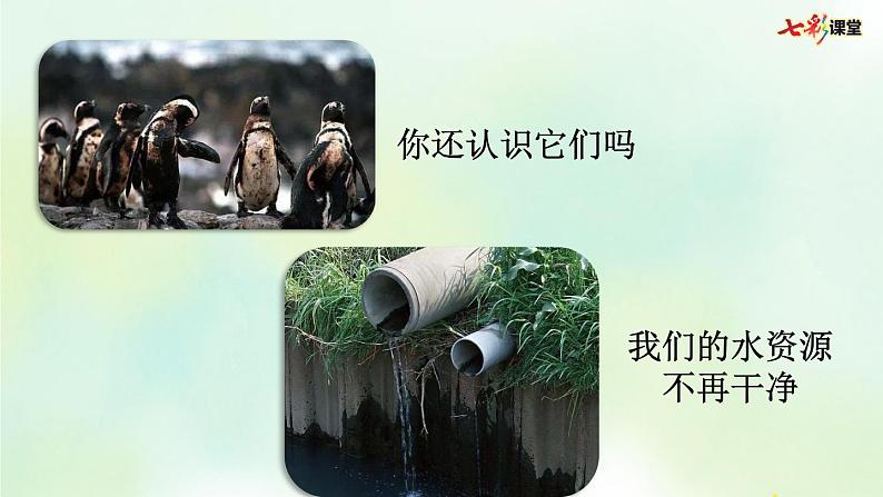 部编版小学语文四年级上册 专项8:口语交际复习课件第6页