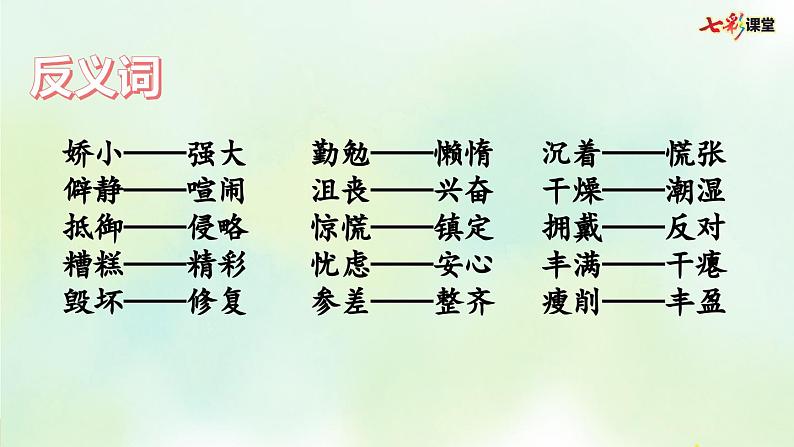 部编版小学语文六年级上册 专项2:词语复习课件06