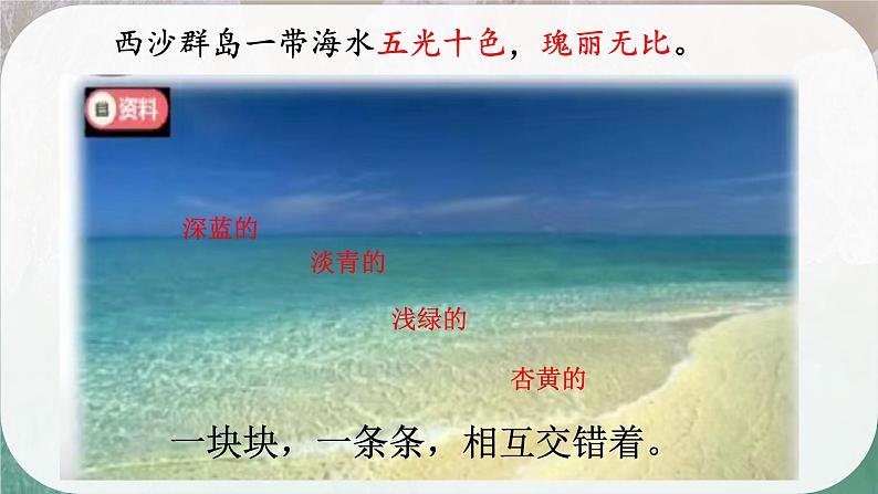 18富饶的西沙群岛(10)(1)课件PPT08