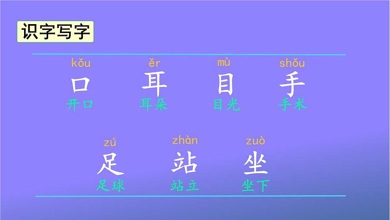 人教部编版小学语文一年级上册《3 口耳目》课堂教学课件PPT公开课第3页