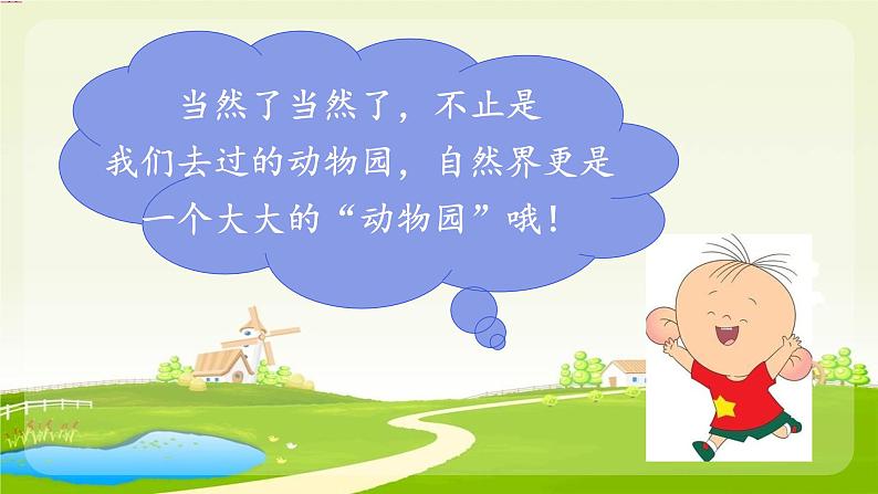 四上小小动物园课件PPT第8页