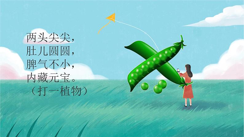 一个豆荚里的五粒豆课件PPT02