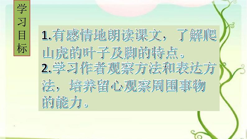 爬山虎的脚第二课时课件PPT03