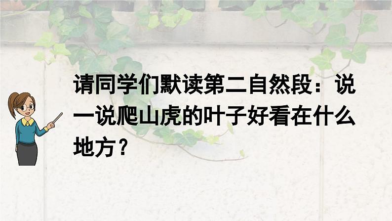 爬山虎的脚第二课时课件PPT04