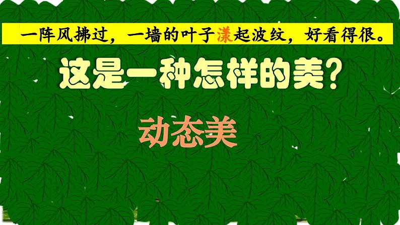 爬山虎的脚第二课时课件PPT05