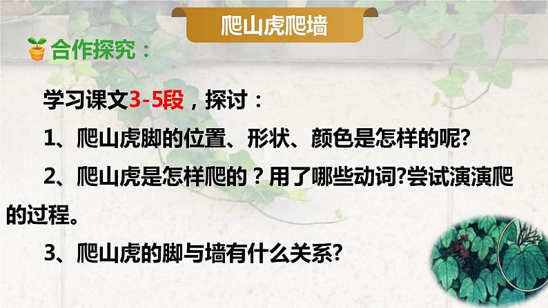 爬山虎的脚第二课时课件PPT08