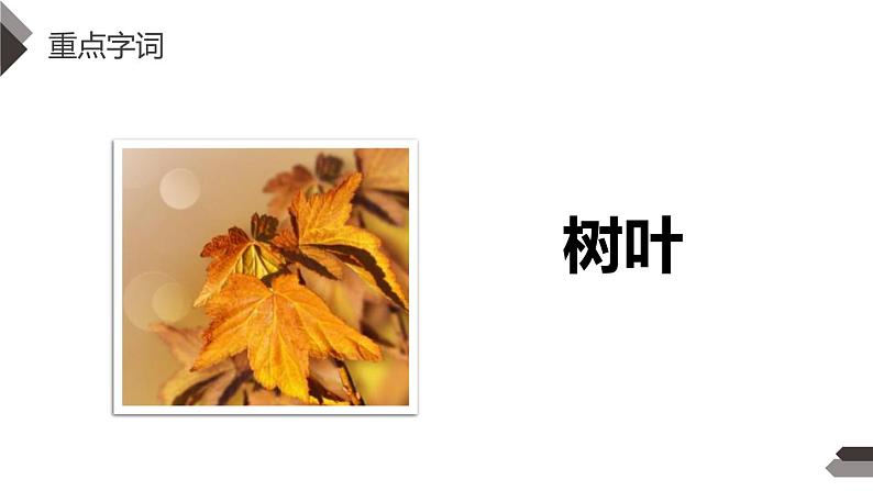 秋天PPT课件406