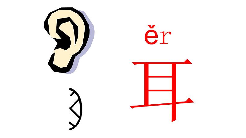 耳口目PPT课件1第5页