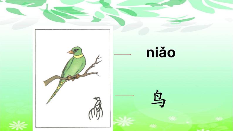 耳口目PPT课件1第8页