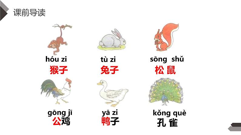 比尾巴PPT课件602