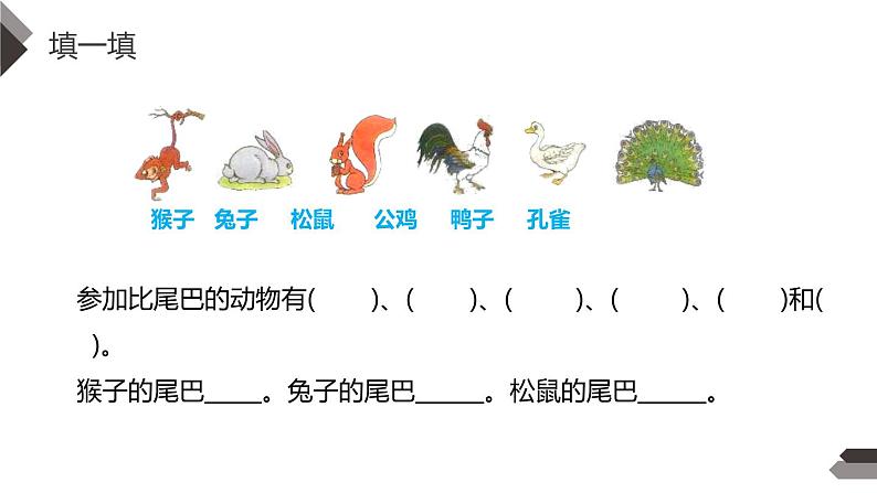 比尾巴PPT课件608