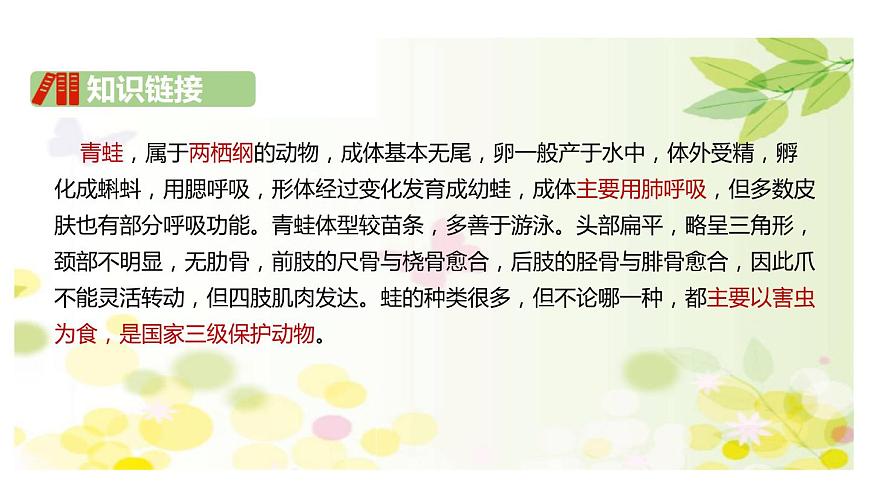 青蛙寫詩PPT課件5第4頁