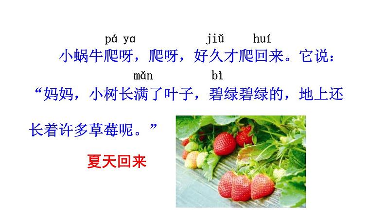 小蜗牛PPT课件1第6页