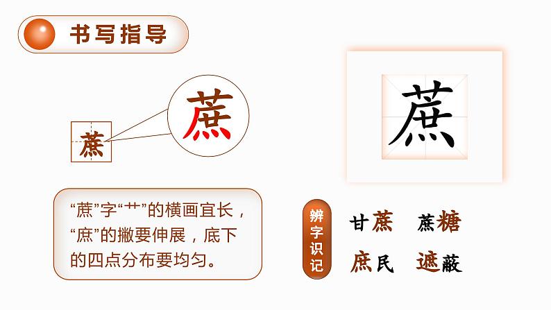(教案匹配课件)16.夏天里的成长第7页